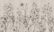 Tapeta Artystyczna Floral pencil