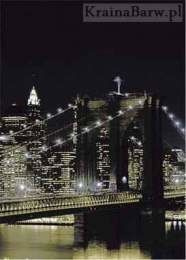 Fototapeta 97331 New York nocą