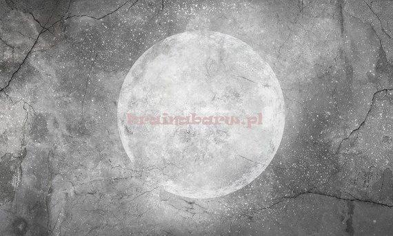 Fototapeta Pełnia księżyca MOON 