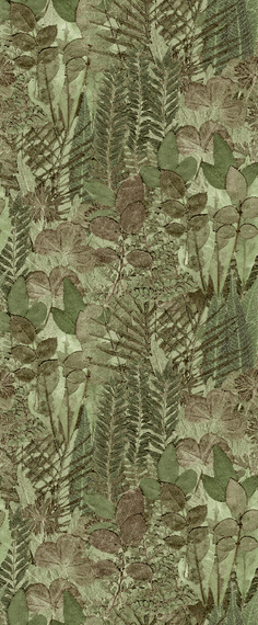 Tapeta Mural Herbarium HED27295 zielnik