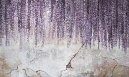 Fototapeta Wisteria zwisajace kwiaty